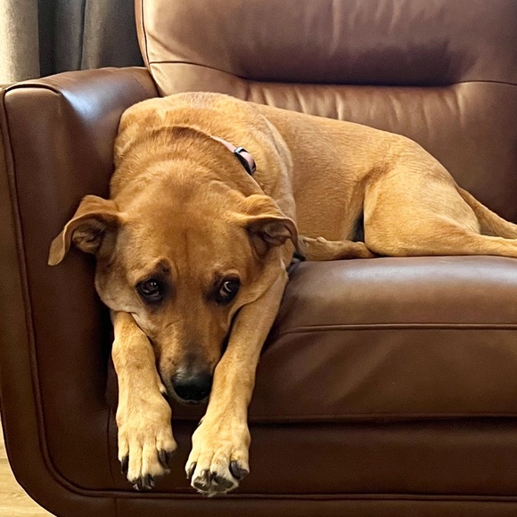 Meet your Posher, Debbie - Picture 3 of 15